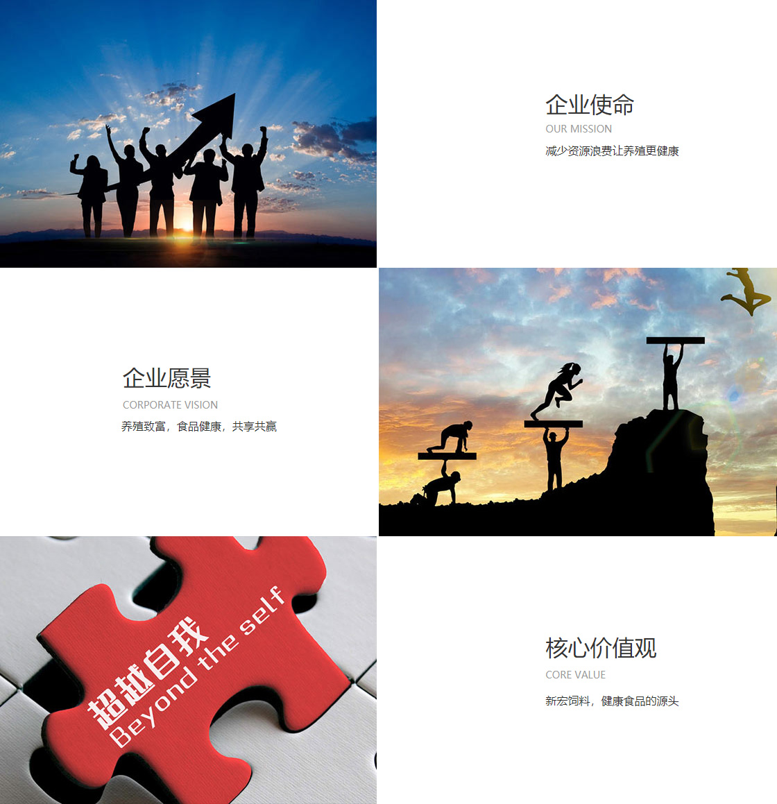 谈球吧体育(图1)